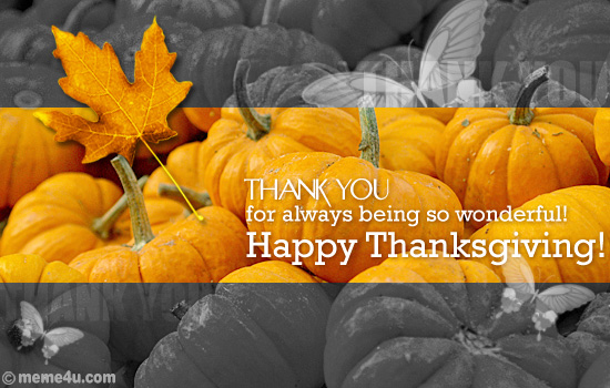 thanksgiving thank you postcard,&nbsp;thanksgiving thank you card,&nbsp;thanksgiving ecard