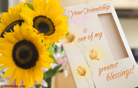 greetings, ecards, egreetings