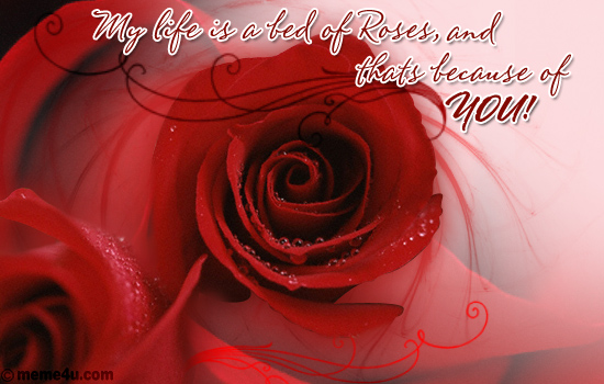 red rose festival,&nbsp;red rose festival ecards,&nbsp;red rose