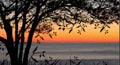 Hope your day is perfect, just like you! Wishing you joy, laughter and love. , Hope your birthday is filled with smiles. 