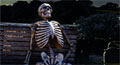 skeleton cards, skeleton halloween cards, halloween skeleton ecards, missing you halloween ecards, missing you, missing, miss you, halloween, happy halloween, missing you sweetheart, sweetheart, love halloweencard, love ecard in halloween, romantic halloween ecard, romantic halloween greeting cards, meme4u