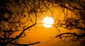 free hindu cards,&nbsp;free religious cards,&nbsp;marati new year cards