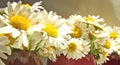 may flowers,&nbsp;flowers blooming in may,&nbsp;may blooms