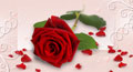 free i love you ecards, love proposal animated cards, love romantic ecards
