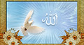 free thank you card on eid, eid ul adha thank you card, eid ul adha thank you ecard, eid ul adha thank you greeting card