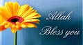eid ul adha business greeting,&nbsp;eid ul adha business card,&nbsp;eid ul adha business ecard