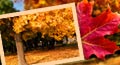 thanksgiving corporate card, thanksgiving corporate greeting card, corporate thanksgiving card, corporate thanksgiving ecard, corporate thanksgiving greeting card, corporate thanksgiving greetings
