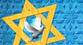 gemar chatimah tovah card,&nbsp;gemar chatimah tovah ecard,&nbsp;gemar chatimah tovah greeting card