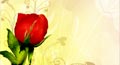 lets make up card, lets makeup ecard, lets make up greeting card, lets make up free ecard, lets make up free animated greeting card, lets make up card for wife