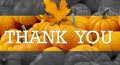 thanksgiving thank you postcard,&nbsp;thanksgiving thank you card,&nbsp;thanksgiving ecard
