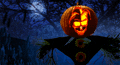 meme4u, jack-o-lantern, jack o' lntern jacko lantern, postcards, animated cards, animation, halloween animation, halloween music, pumpkin, lighted decorated pumpkin, scarecrows, scare crow, field, haunted field, darkness, meme4u.com