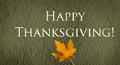 animated thanksgiving card, thanksgiving ecard, thanksgiving greeting card, free thanksgiving card, thanksgiving thank you card, thanksgiving thank you ecard, thanksgiving thank you greeting card, thank you card with fall, autumn thank you
