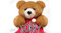 Send free I'm Sorry Friendship ecards and I'm Sorry Friendship greeting cards from MeMe4u now. Each I'm Sorry Friendship ecard can include a personal touch� that you can personalize the card the way you wish.