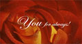 i love you ecards, love proposal egreetings, love proposal postcards

