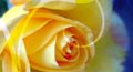 Holiday | Free Ecards | Holiday Cards | Holiday Greeting Cards | Free Cards
