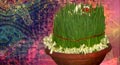 happy gangaur,&nbsp;gangaur cards,&nbsp;gangaur wishes