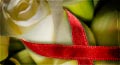 aids day, aids awareness messages,hiv aids messages,aids red ribbon,aids awareness week,aids support,