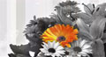 miss you friend card,&nbsp;miss you friend ecard,&nbsp;miss you friend greeting card
