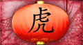 chinese lamps,&nbsp;new year symbols,&nbsp;chinese new year greetings