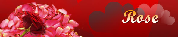 Valentine's Day Rose Cards | Valentine's Day Rose Ecards | Valentine's Day Rose Greetings 