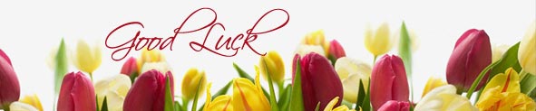 Good Luck Cards | Good Luck Greeting Cards | Good Luck Ecards | Free Good Luck Ecard