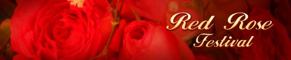 Red Rose Festival | Red Rose Festival Cards | Red Rose Festival Ecards | Red Rose Festival Greeting Cards | Free Red Roses